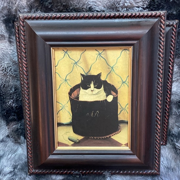 2 Miss Meka Cat Picture Paul Stagg The Bombay Company Stephanie Hoppen - Picture 6 of 16